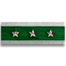 Distinguished Service Ribbon