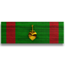 Combat Action Ribbon