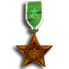 Bronze Star
